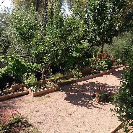 Villa 8 Personnes Piscine Location Estivale بيت للعطل Afa